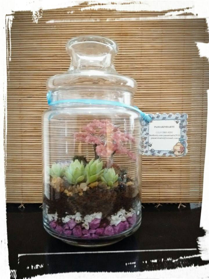Terrário de suculentas