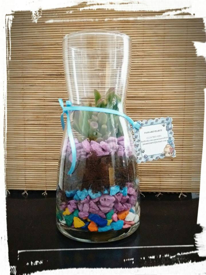 Terrário em jarra