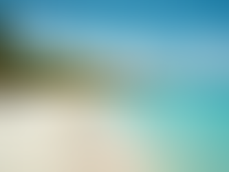 Diversión sin Límites: Excursiones en Punta Cana