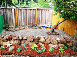 Backyard 2