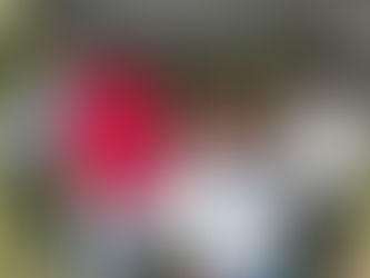 The LWV Lynchburg Registers New Voters