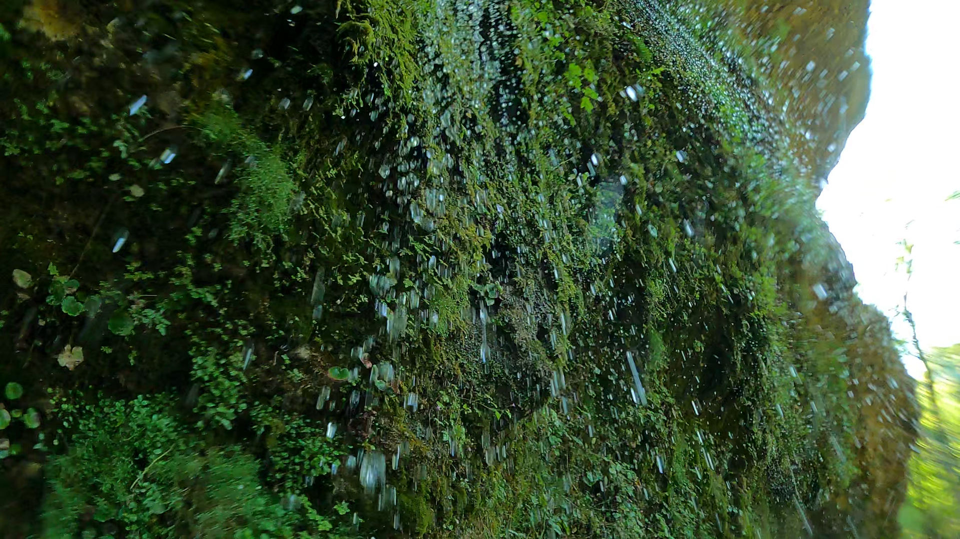 Wildnis, Abenteuer, Bachwanderung, erkunden, entdecken, Natur, erforschen, Naturerlebnis, Bushcraft, Survival, draussen, Outdoor, Adventure, Steyr Fluss, Oberösterreich