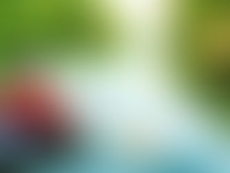 "Nur Fliegen ist schöner" - Eine charmante Antistress-Komödie über Liebe, Muße und die befreiende Kraft des Paddelns.