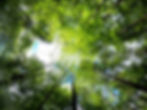 Wildnisabenteuer, Team, Bushcraft, Survival, Natur, Naturerlebnis, Wildnis, Steyr Fluss, Adventure, Draussen, Naturelemente