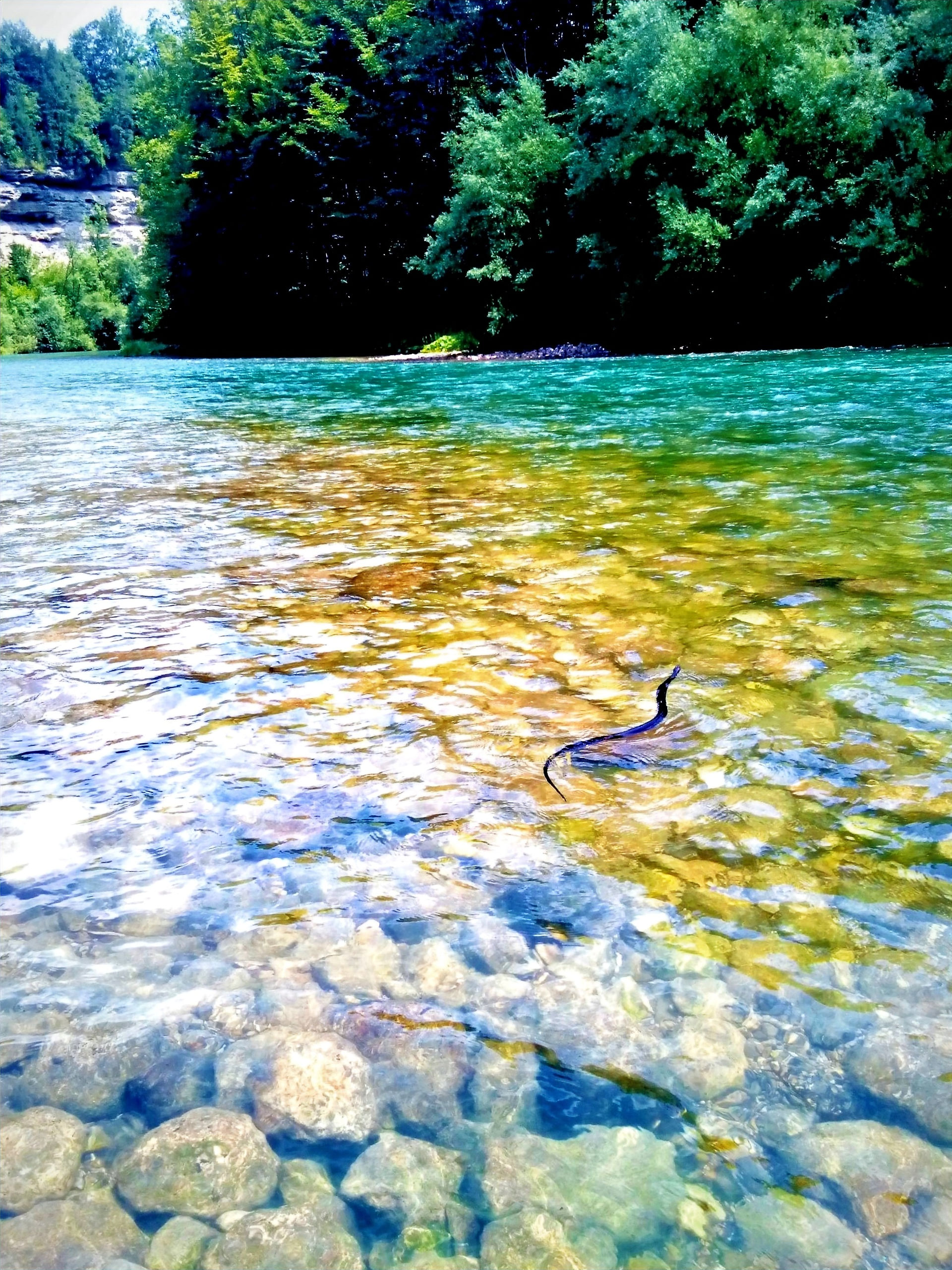 Wildnis, Abenteuer, Bachwanderung, erkunden, entdecken, Natur, erforschen, Naturerlebnis, Bushcraft, Survival, draussen, Outdoor, Adventure, Steyr Fluss, Oberösterreich
