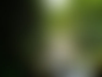 Ein natürlicher Zustand