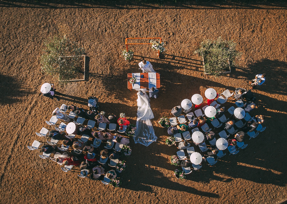 Matrimonio sostenible: la guía completa para una boda consciente y con propósito