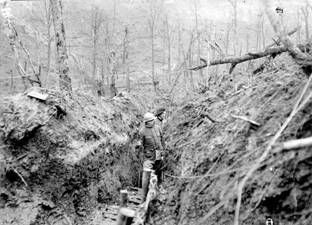 Les Bretons dans la Bataille de Verdun
