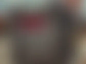 Judgment Day Weapon: The Pros and Cons of the Different Paths available to Judicially Invalidate a Basic Law