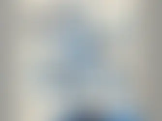 Did Israel Lose its Sanity?The Struggle over the Reasonableness Doctrine