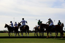 Last Polo in Buenos Aires