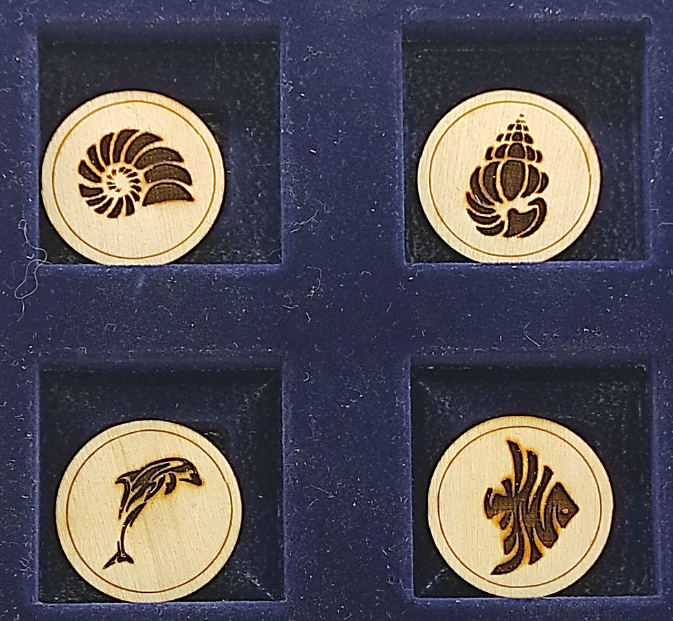 Lot 4 magnets "animaux marins"