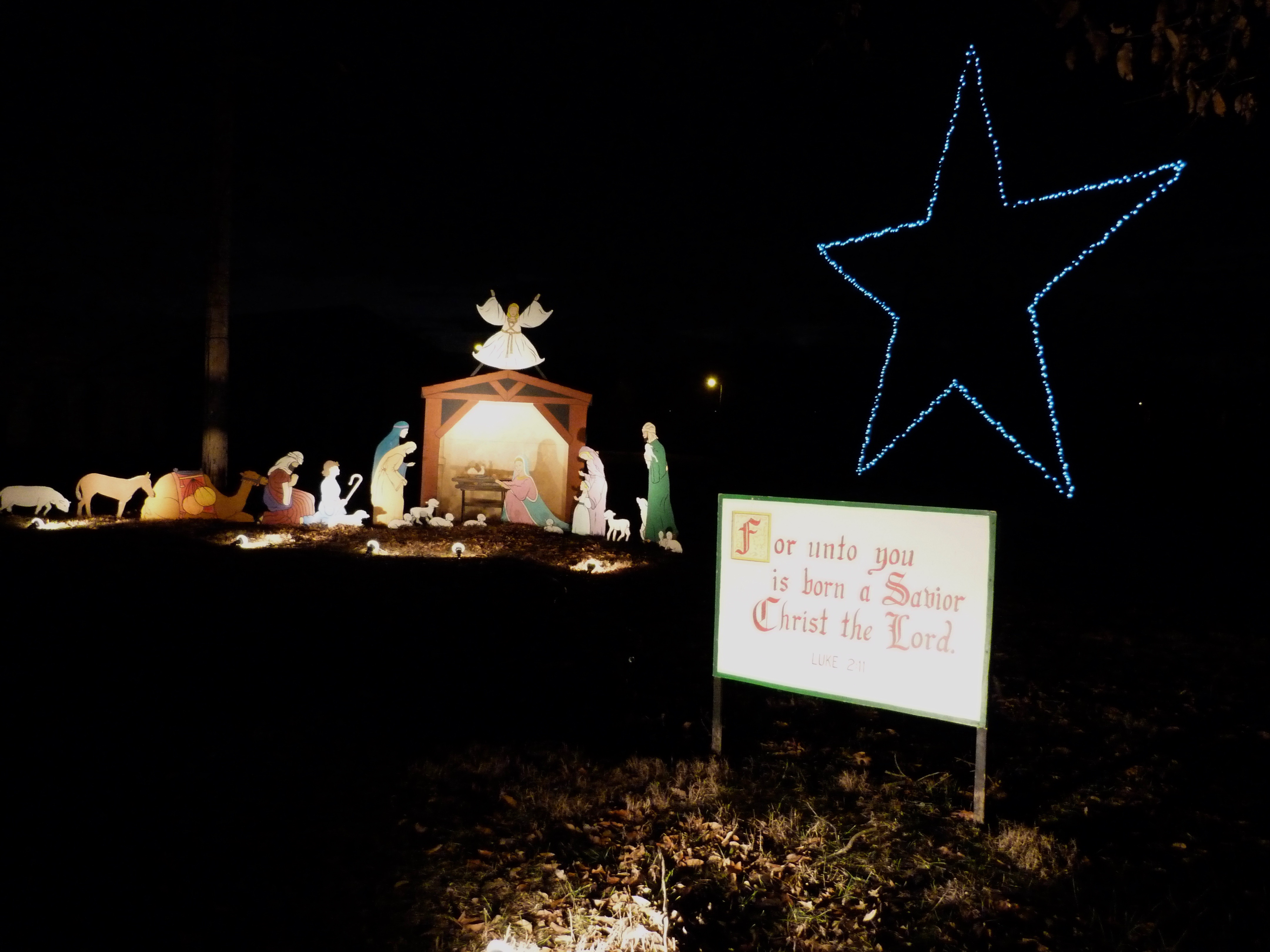 The Nativity