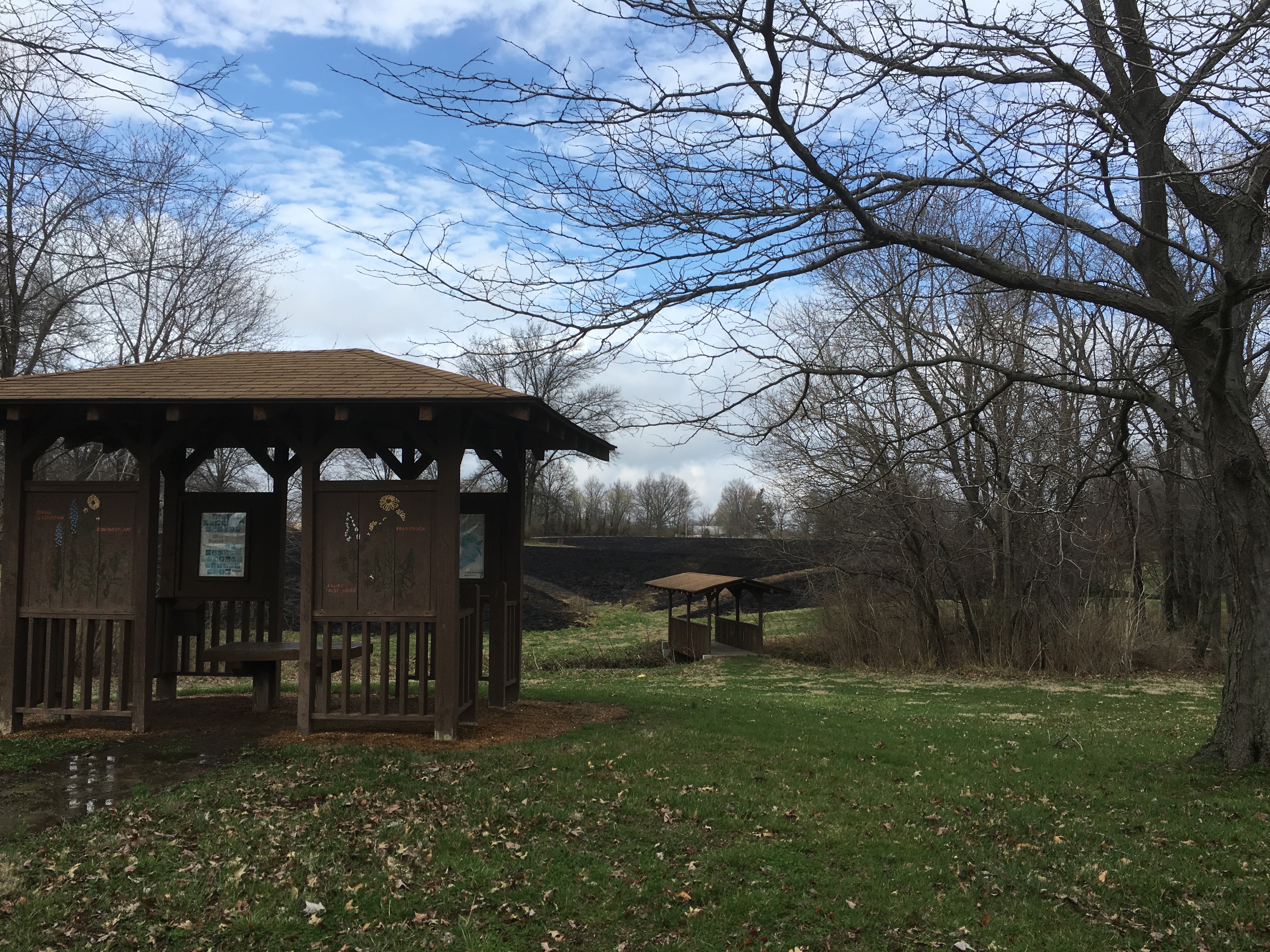 THE PRAIRIE BURN