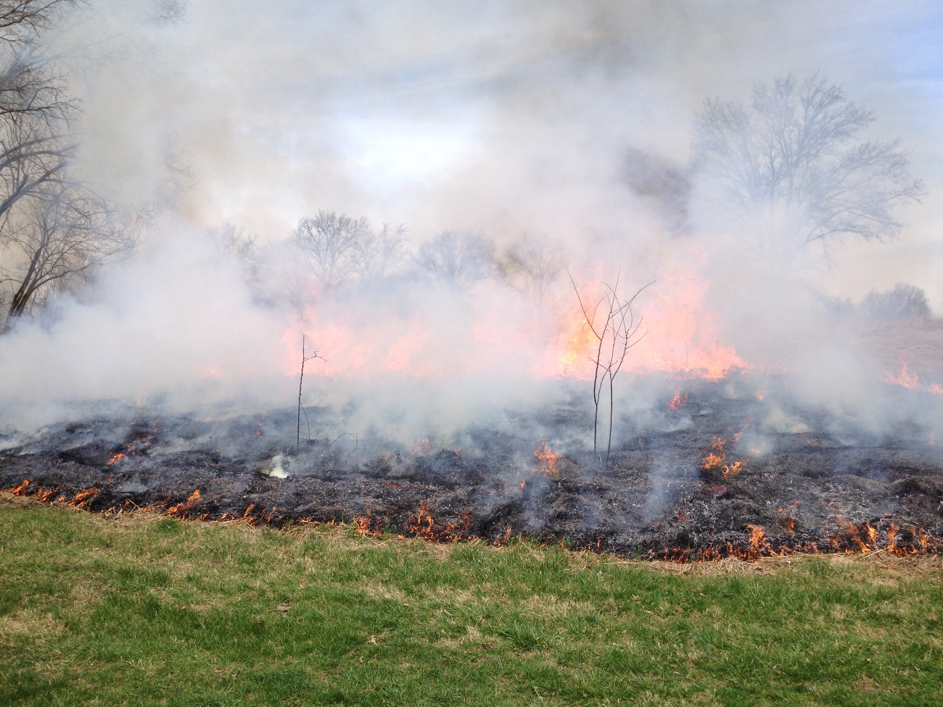 Spring Burn