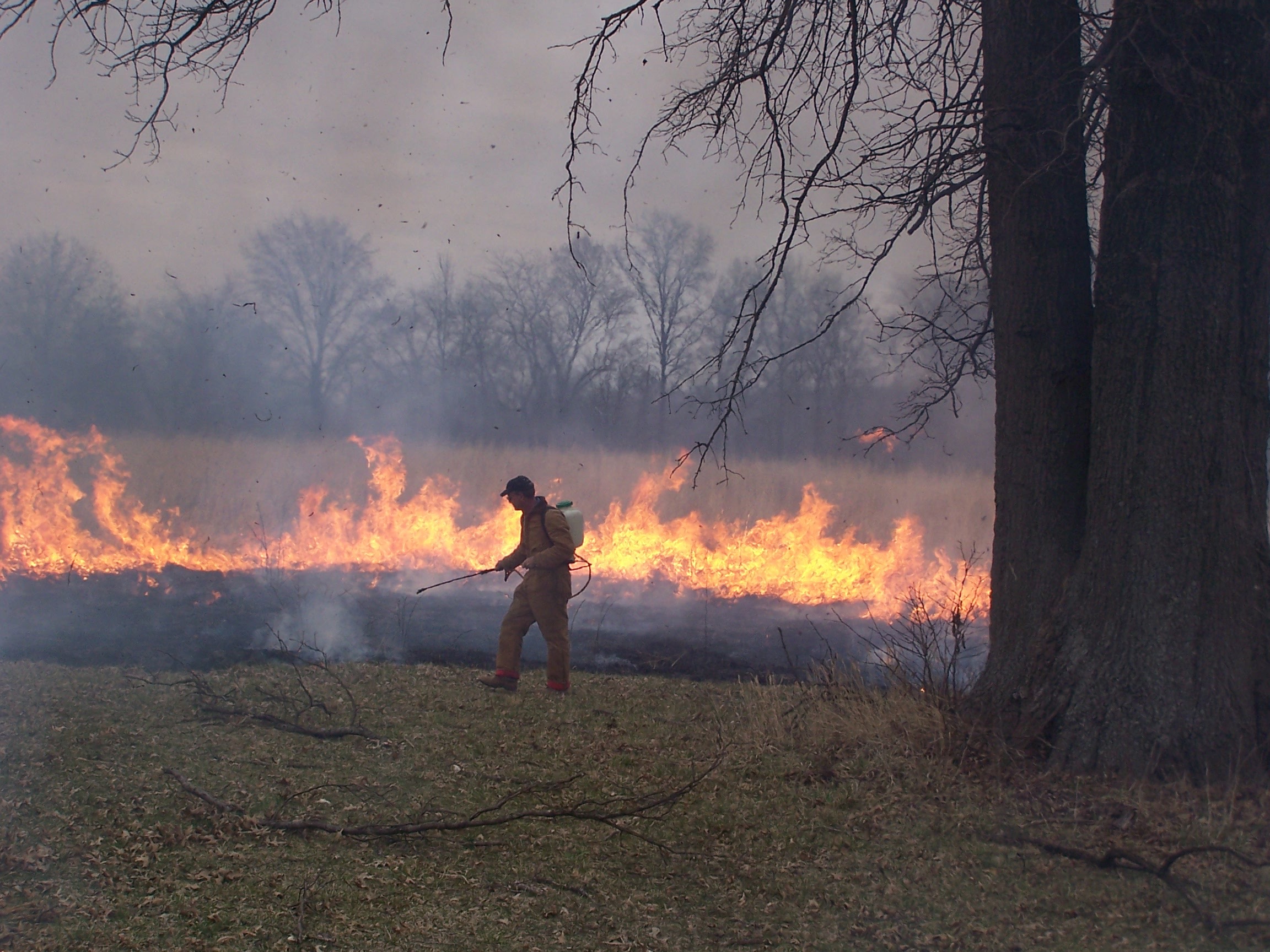 PRAIRIE CONTROLLED BURN