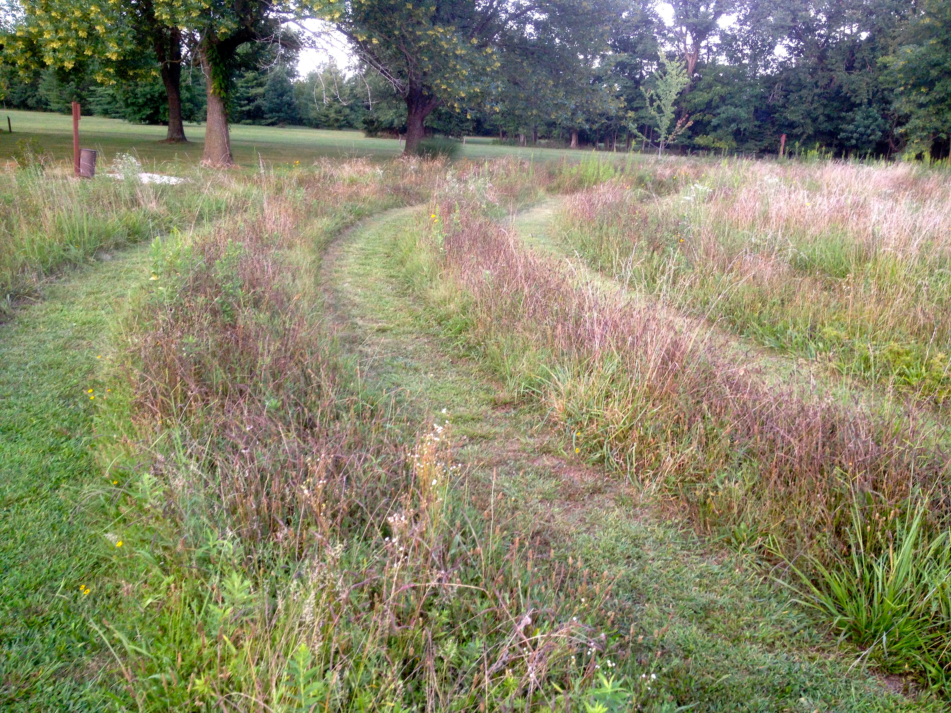 Labyrinth in Fall