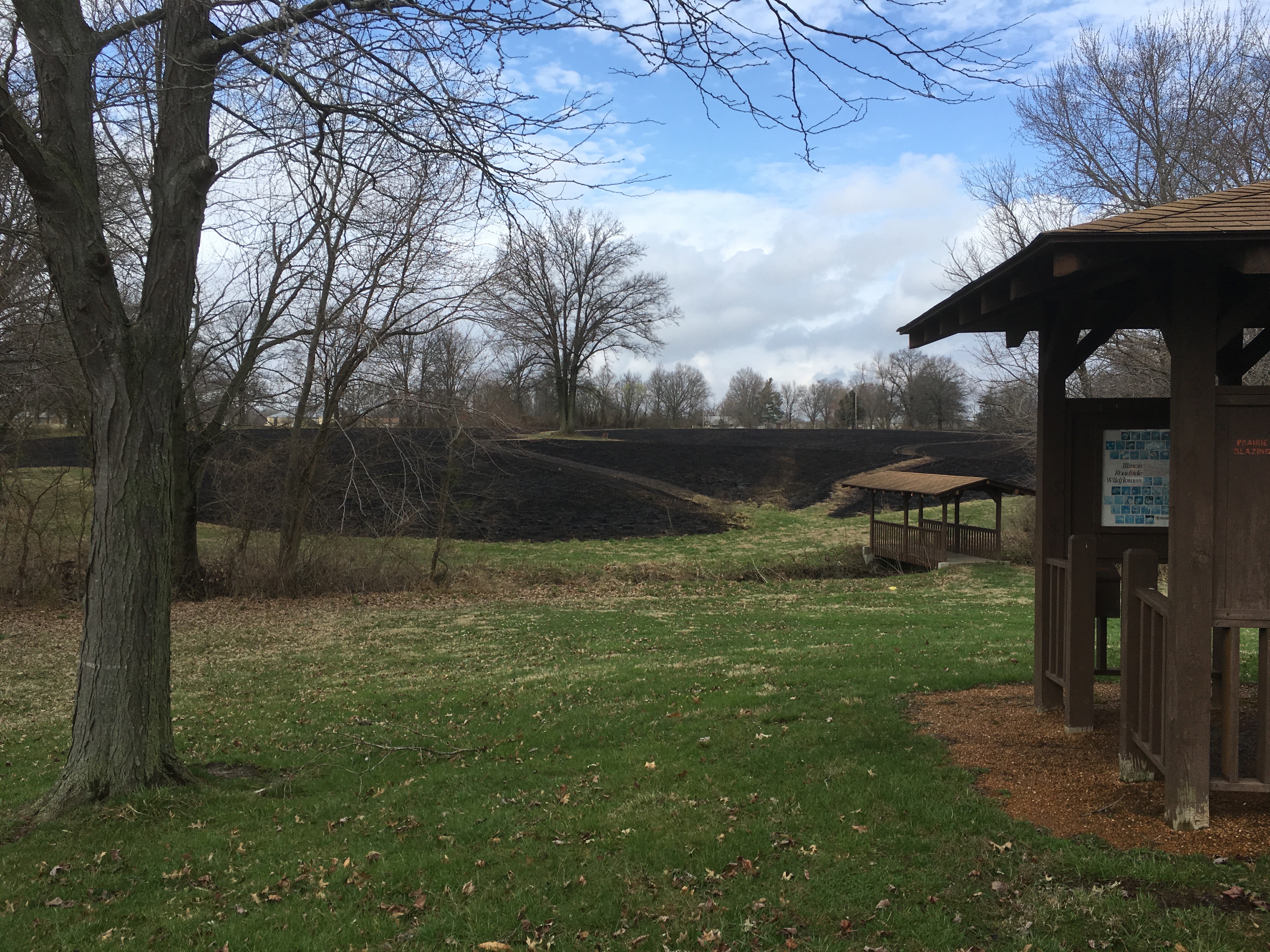 THE PRAIRIE BURN