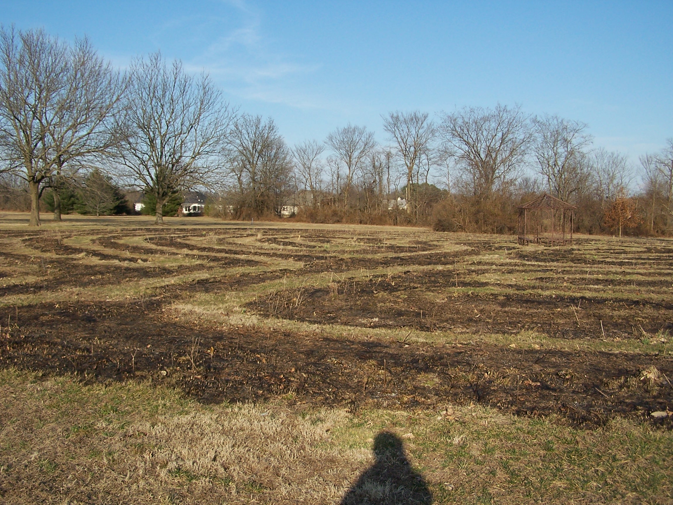 After the burn
