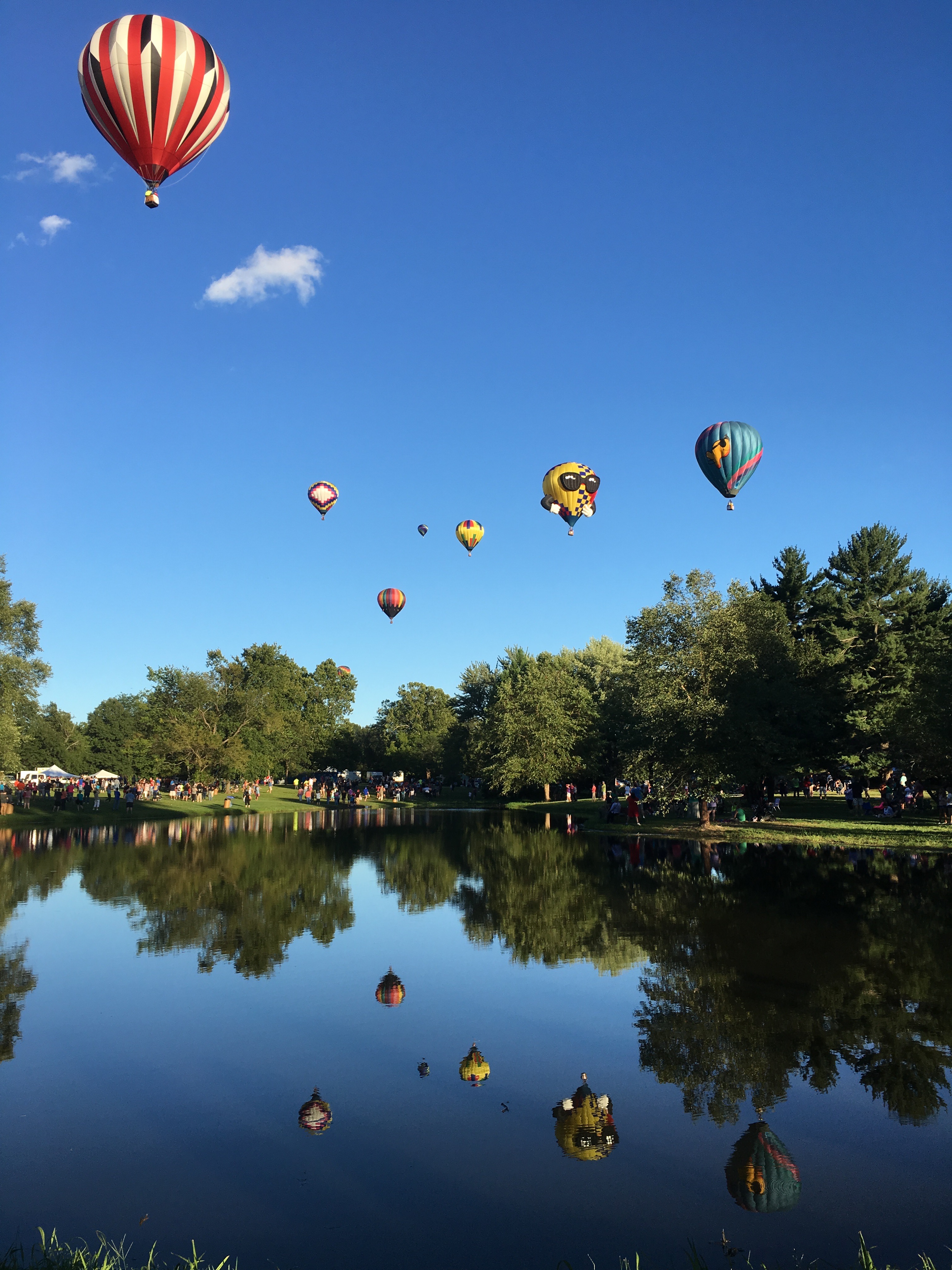 Balloons over the pond