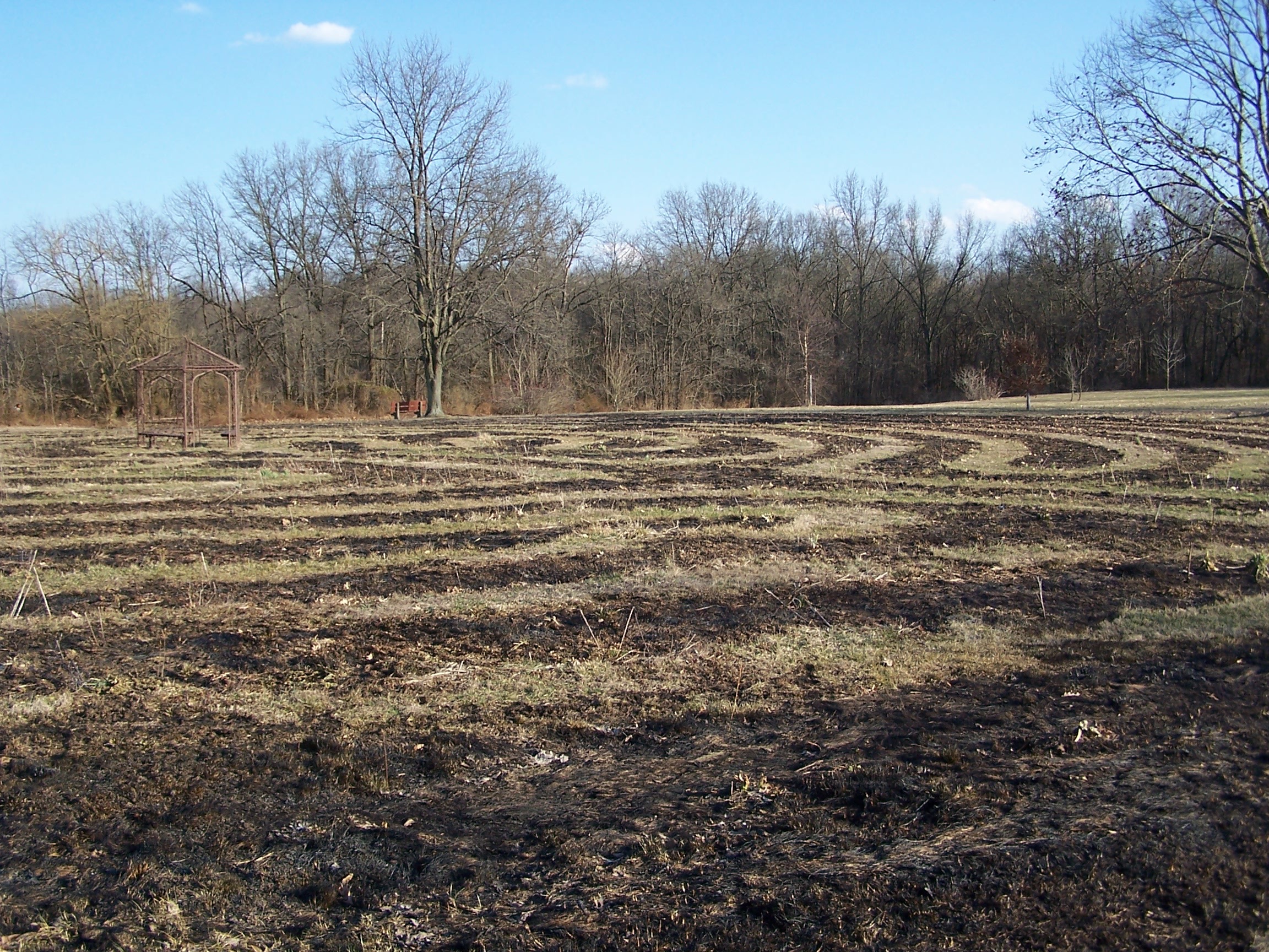 After the burn