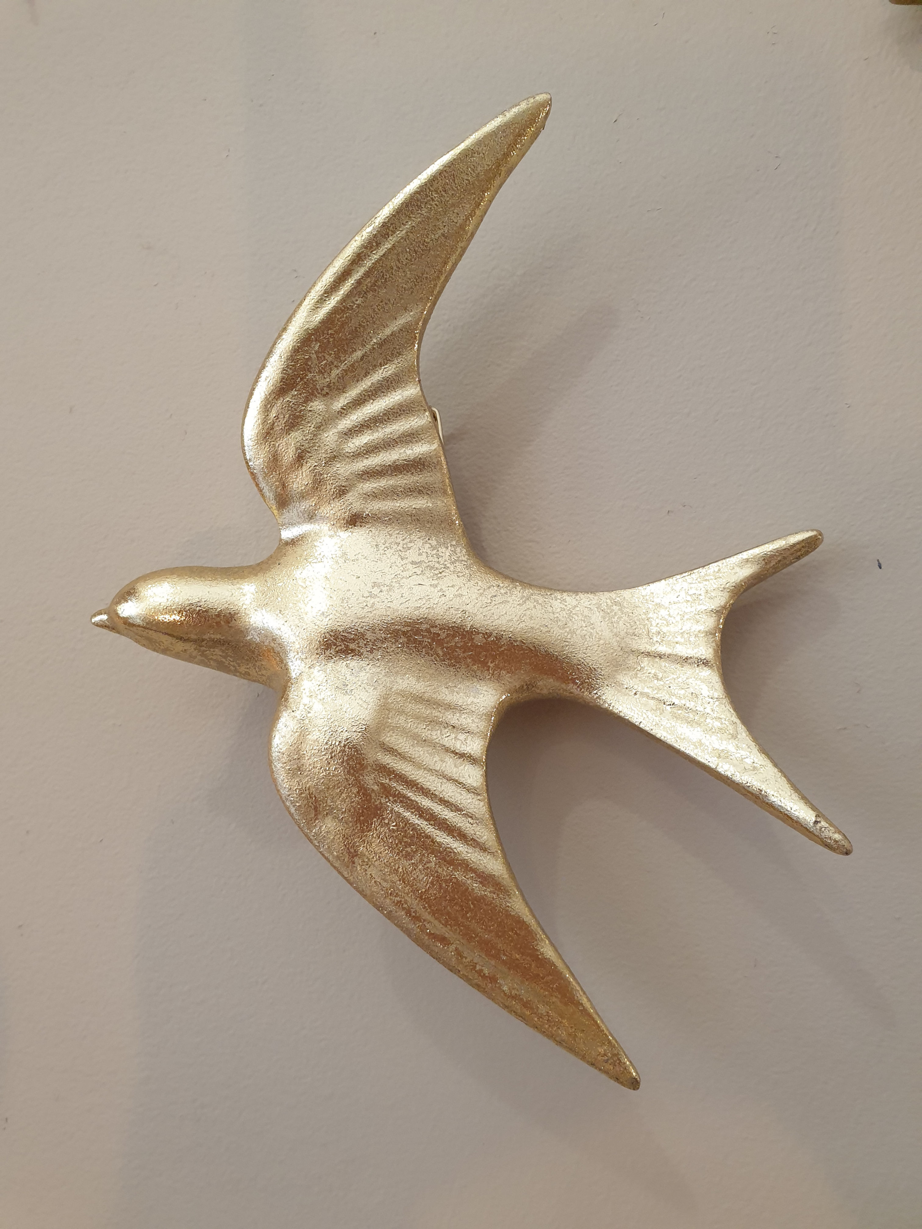 Hirondelle Murale