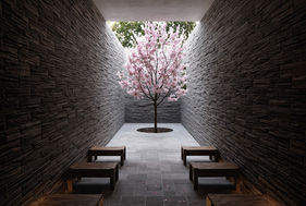 A Creative News destacou a conquista do prémio WAFX 2025 no World Architecture Festival, com o projeto “Echoes of the Void”