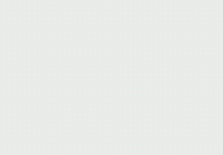 Leque-5.gif