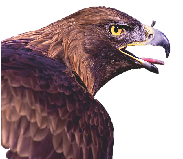 Picture3.png