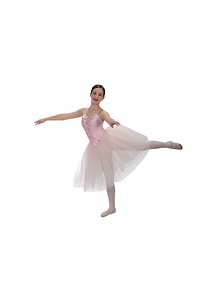 Untitled design (6).png