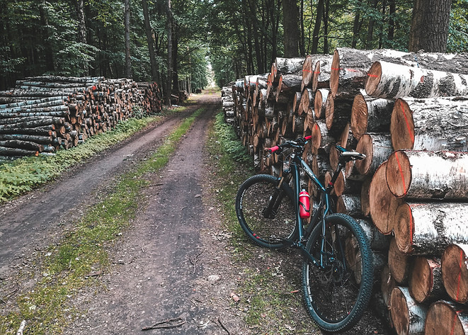 im Wald Radfahren