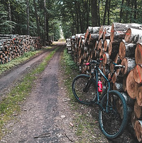 im Wald Radfahren