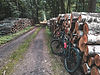 Fahrrad über Baumstämme