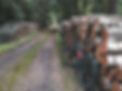 MTB