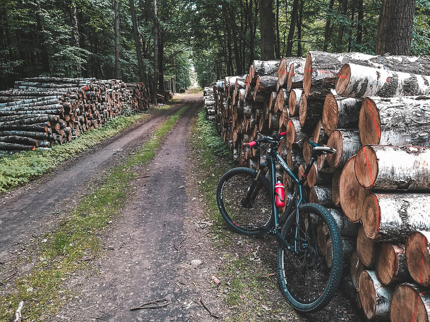 im Wald Radfahren