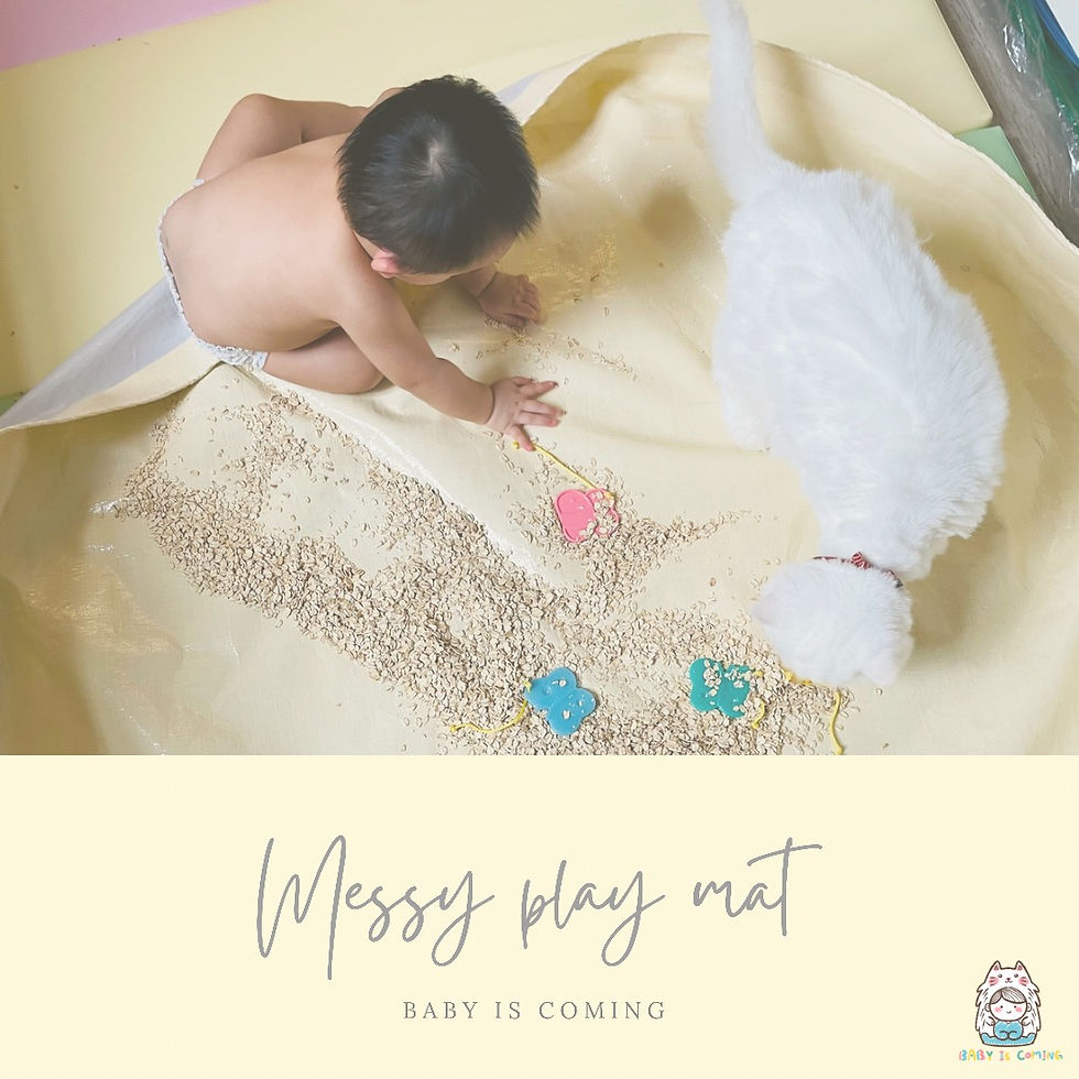 Messy Play Mat
