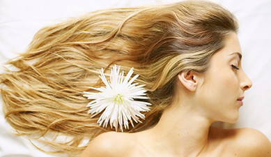 Blonde Highlights