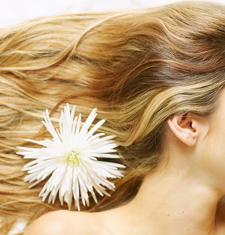 Blonde Highlights