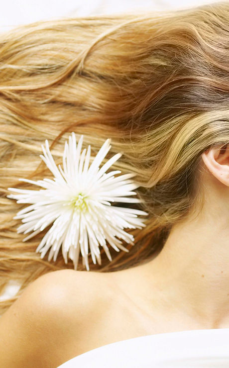 Blonde Highlights