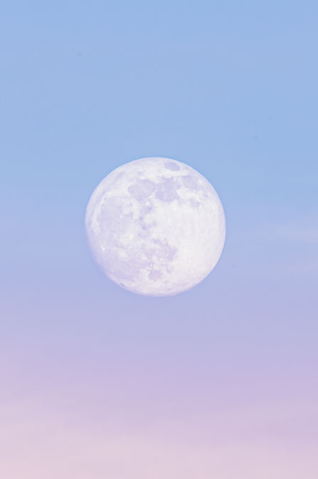 DSC_8766.jpg