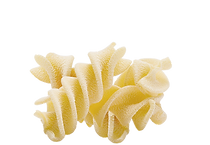Pasta biologica Fiordimonte dettaglio Fusilloni.