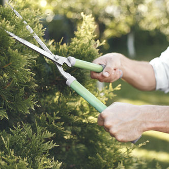 man-trimming-bough-brush-guy-works-backyard_edited.jpg