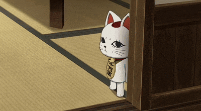 uhh-cat.gif