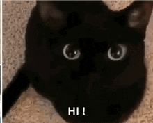 hi-no.gif