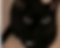 hi-no.gif