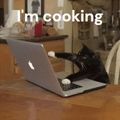 i'm-cooking---cat-typing-on-keyboard.gif