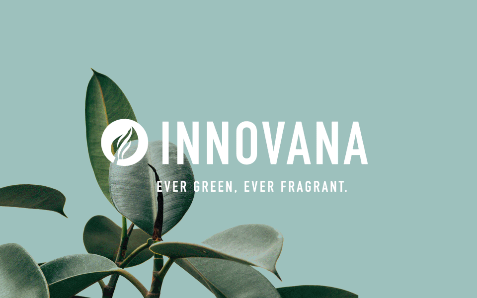 InnovanaPlan.gif