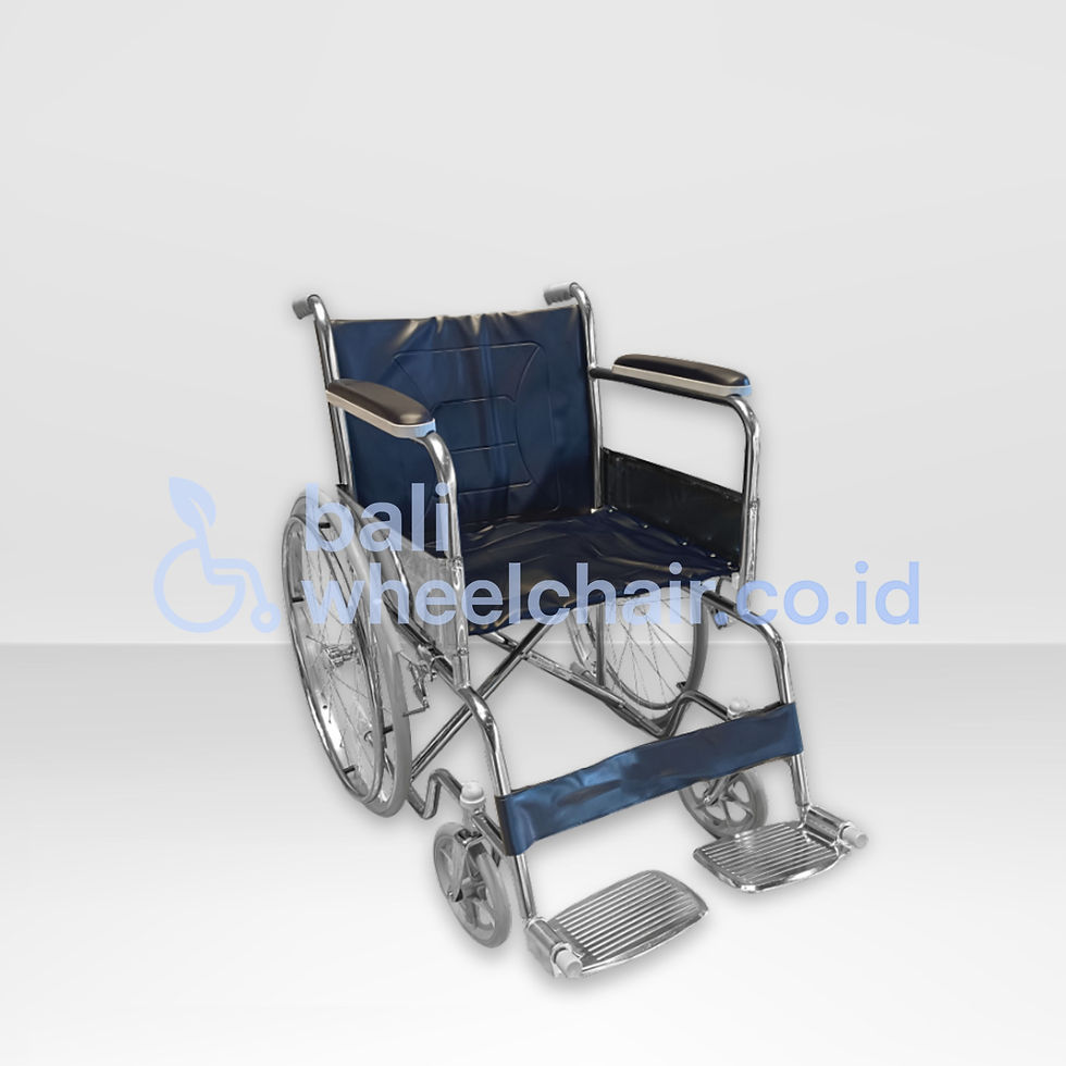 Wheelchair Standard FS871