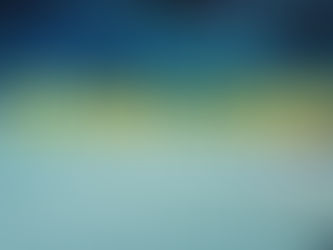 DITCHING CANADA - FULL MUSIC VIDEO