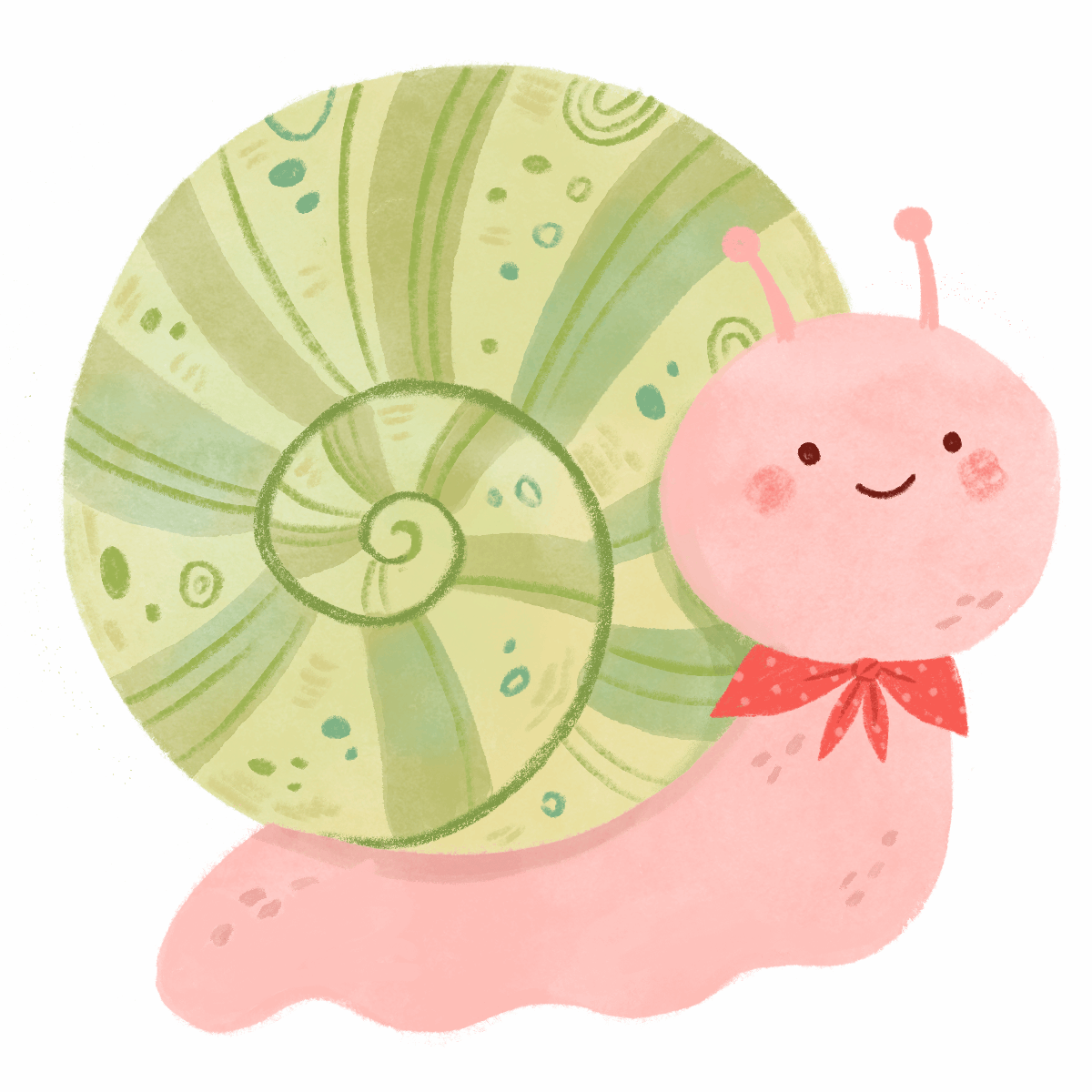 nataliebriscoe, illustrated snail, picturebooks, nature